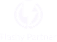 Flashy Partner
